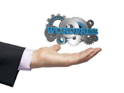 wordpress specialist