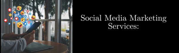 SEO and Social Media Strategy 2 social media marketing services